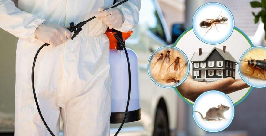 Saimbeyli Böcek İlaçlama