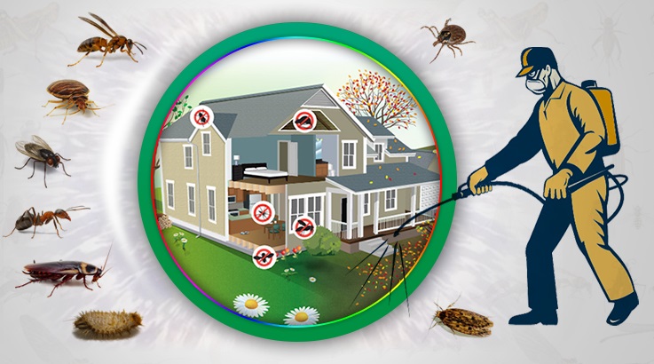 Saimbeyli Böcek İlaçlama