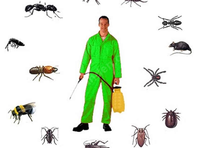 Saimbeyli Böcek İlaçlama